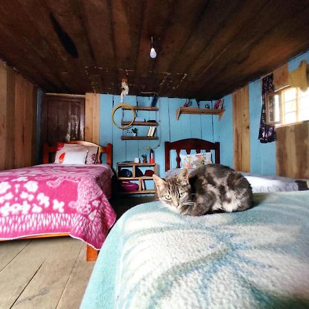 Patricia And Ned'S Cloud Forest Farm Cotacachi Extérieur photo