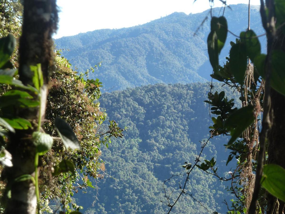 Patricia And Ned'S Cloud Forest Farm Cotacachi Extérieur photo