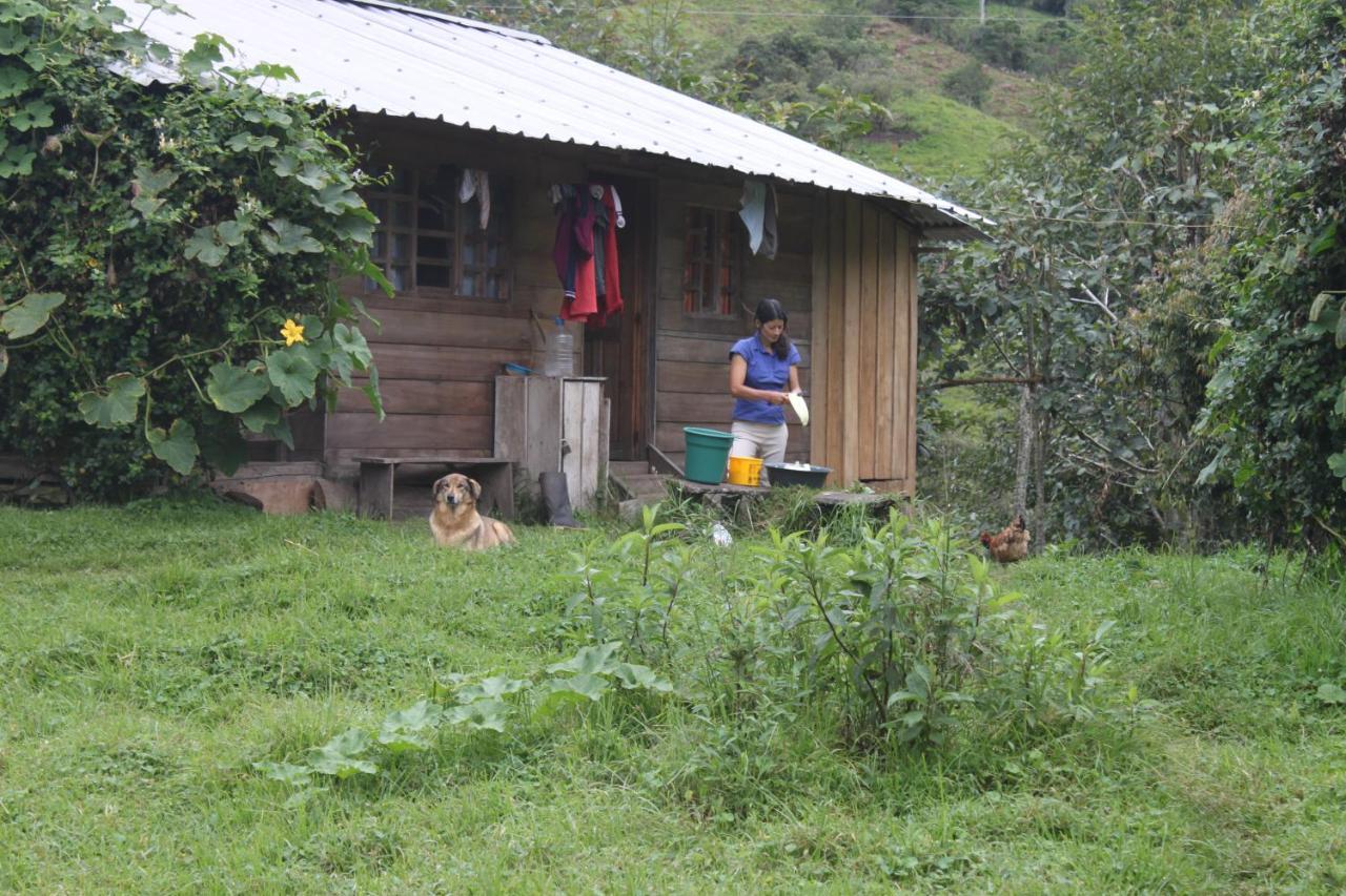 Patricia And Ned'S Cloud Forest Farm Cotacachi Extérieur photo