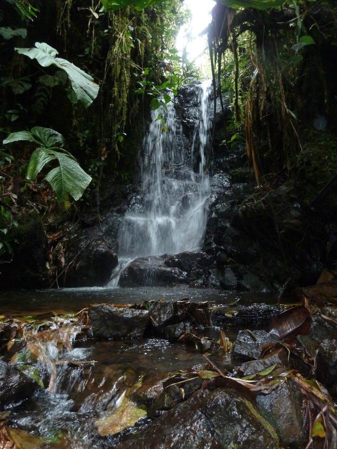 Patricia And Ned'S Cloud Forest Farm Cotacachi Extérieur photo