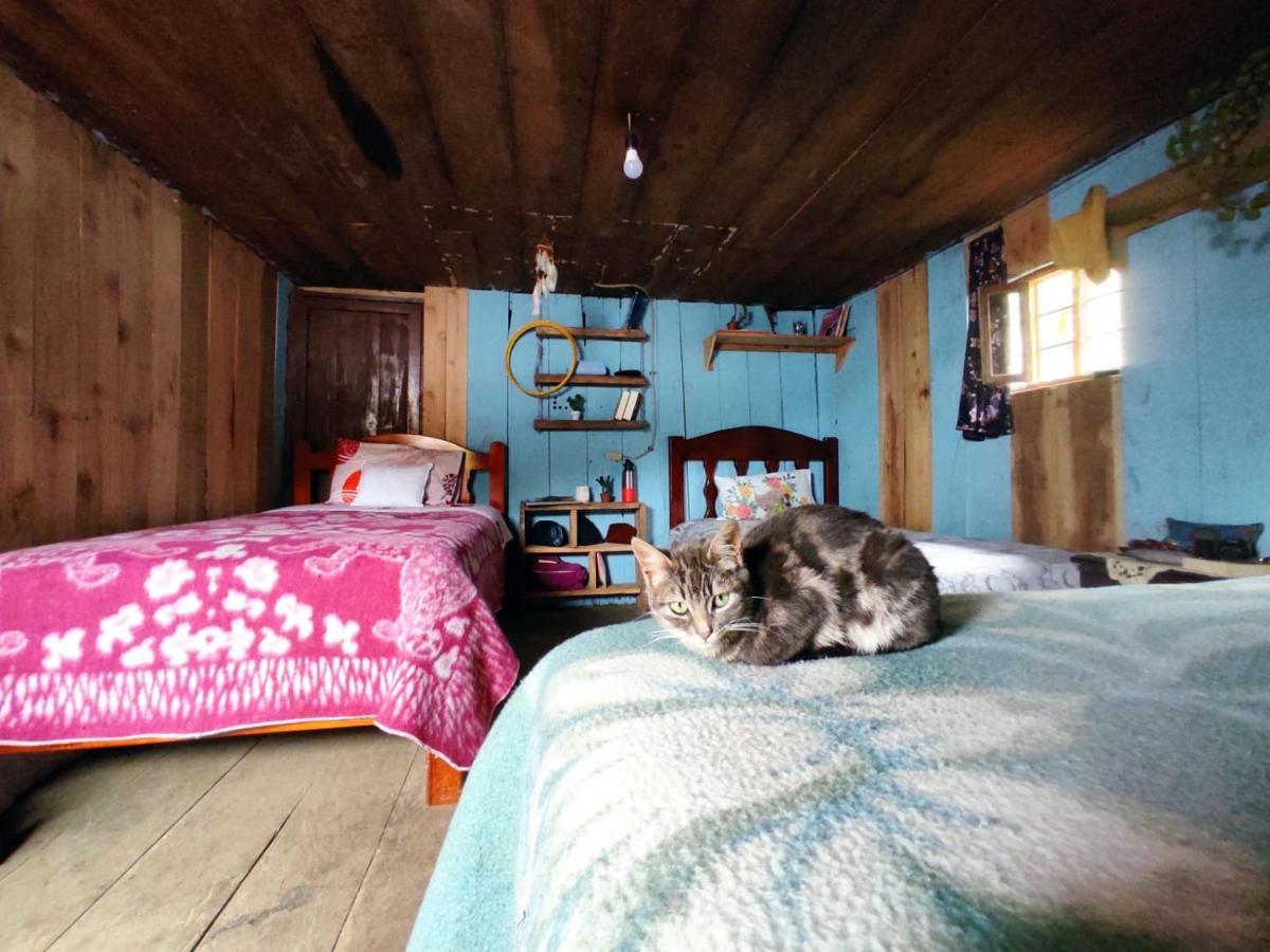 Patricia And Ned'S Cloud Forest Farm Cotacachi Extérieur photo