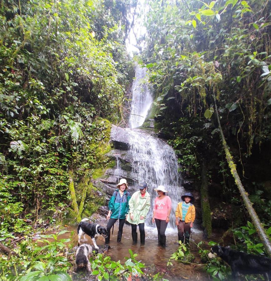 Patricia And Ned'S Cloud Forest Farm Cotacachi Extérieur photo
